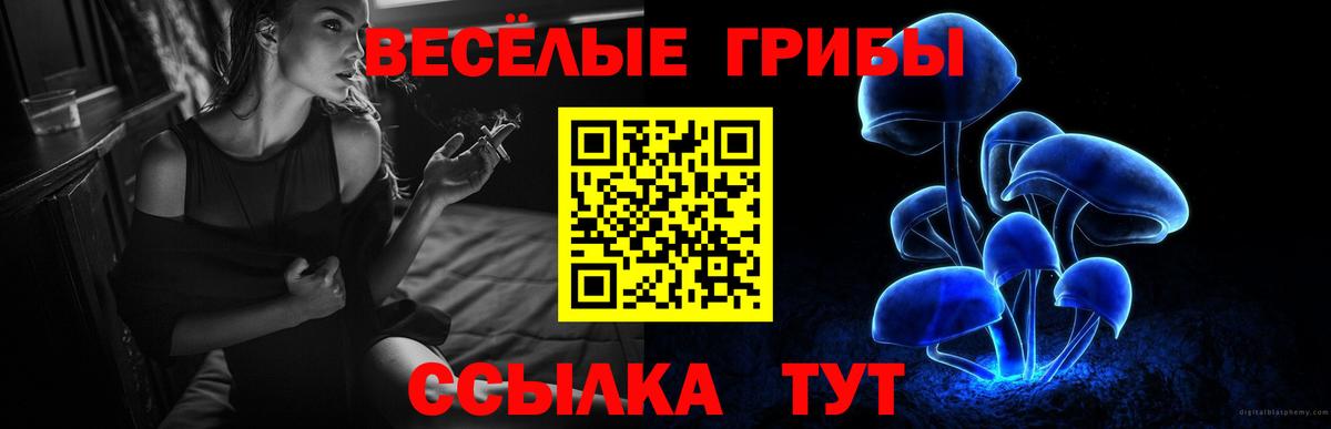 Галлюциногенные грибы Psilocybine cubensis Трёхгорный
